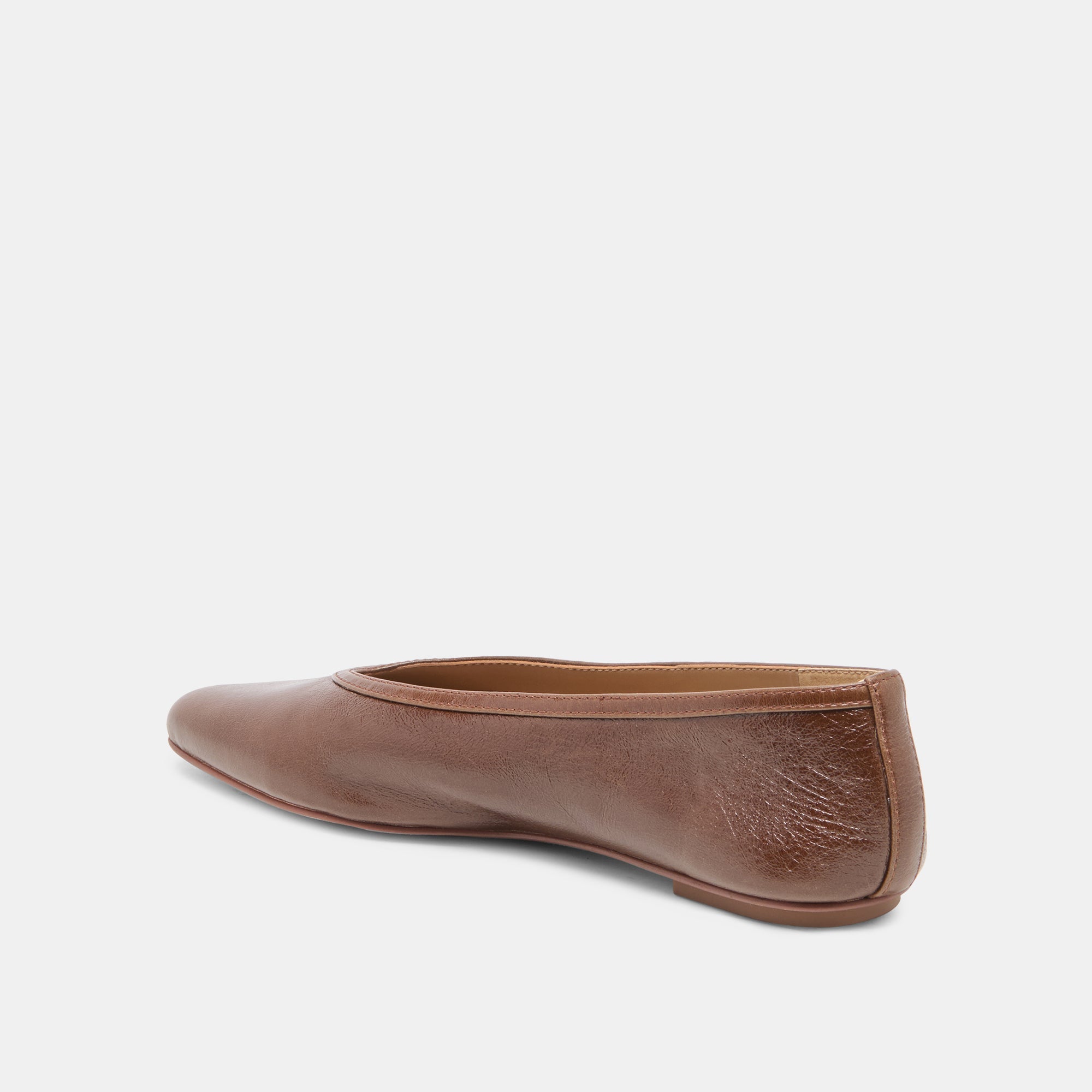 CARET Russet Leather Pointed-Toe Ballet Flats / Dolce Vita