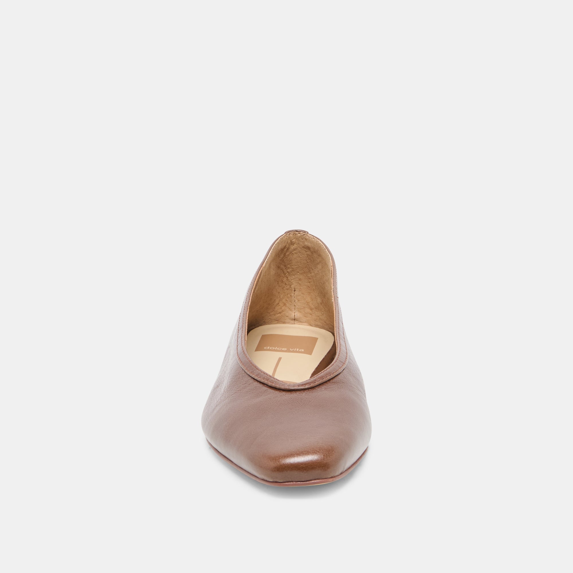 CARET Russet Leather Pointed-Toe Ballet Flats / Dolce Vita
