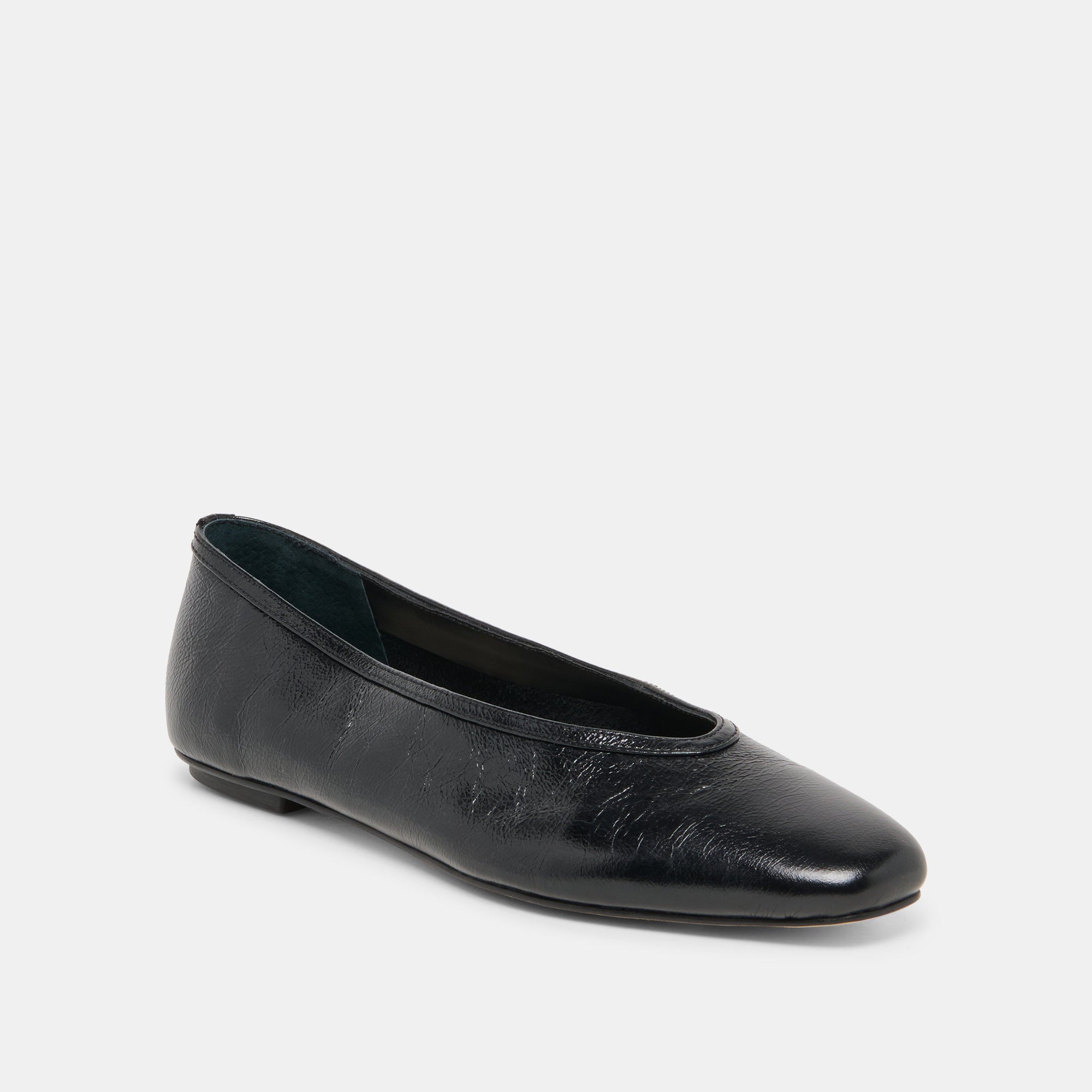 CARET Black Leather Pointed-Toe Ballet Flats / Dolce Vita