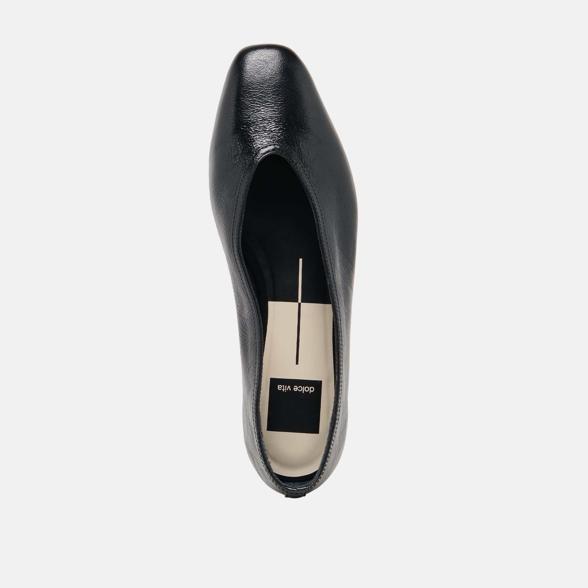 CARET Black Leather Pointed-Toe Ballet Flats / Dolce Vita