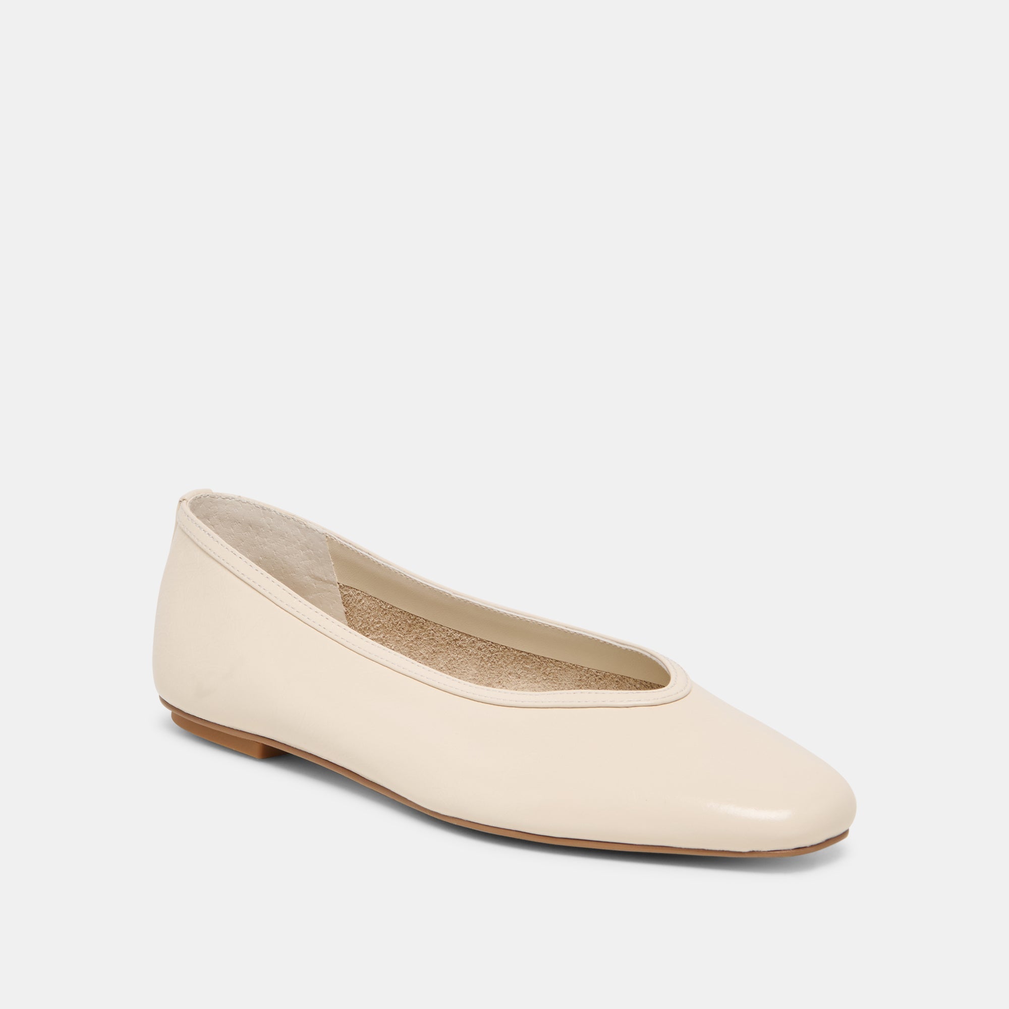CARET Bone Leather Pointed-Toe Ballet Flats / Dolce Vita