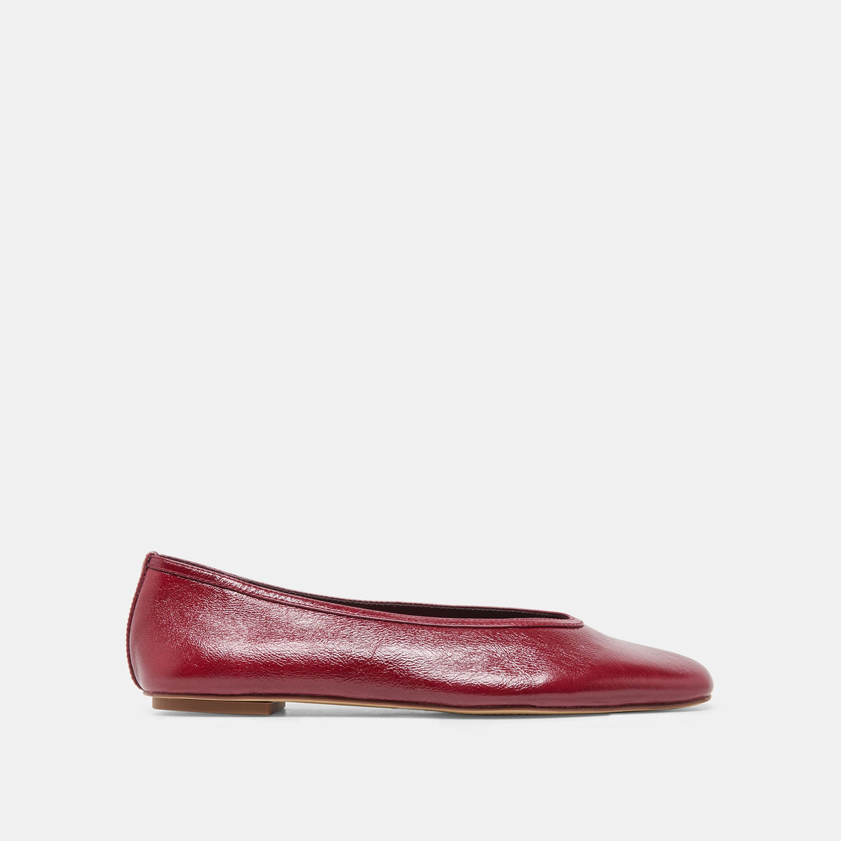CARET Garnet Leather Pointed-Toe Ballet Flats / Dolce Vita