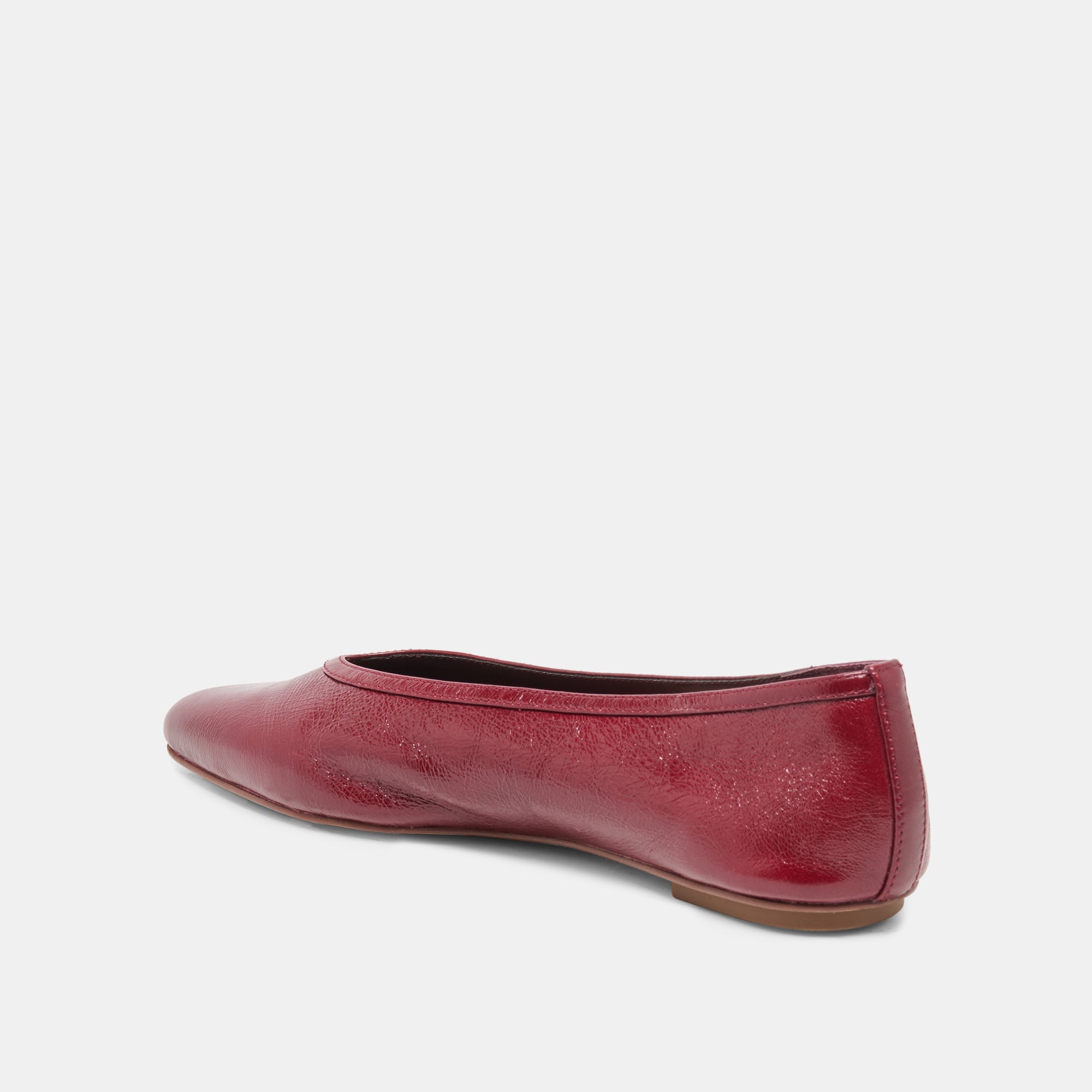 CARET Garnet Leather Pointed-Toe Ballet Flats / Dolce Vita