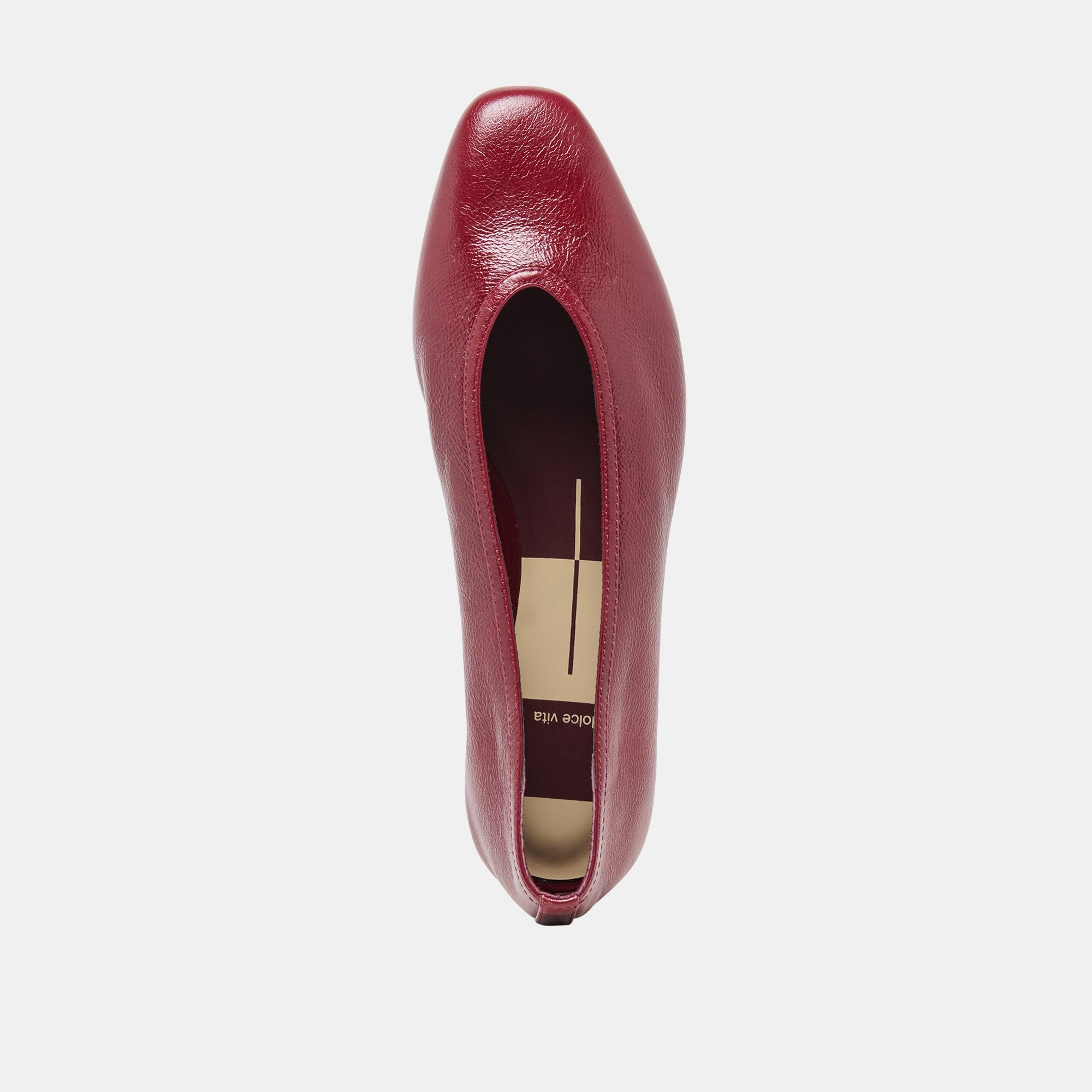 CARET Garnet Leather Pointed-Toe Ballet Flats / Dolce Vita