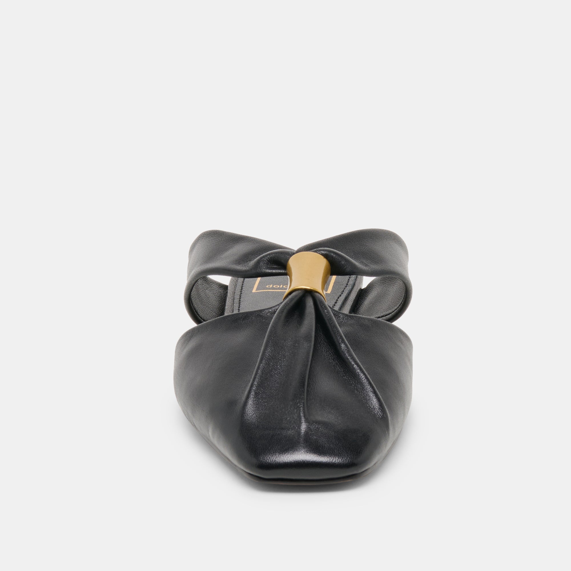 Franey Black Leather Flats / Dolce Vita