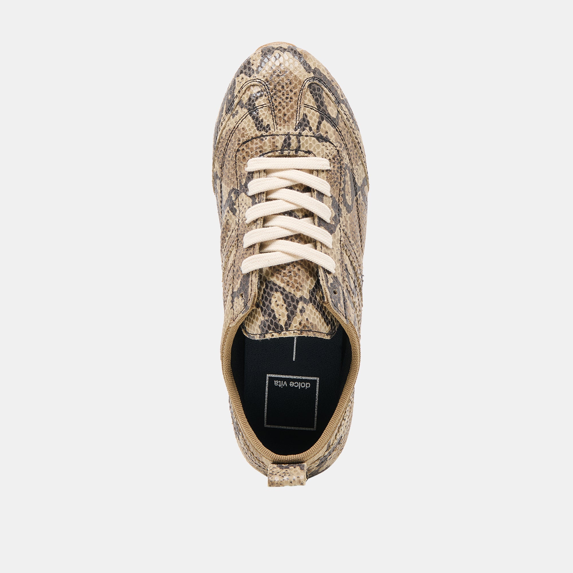 Viper Snake Print Embossed Leather Sneakers / Dolce Vita