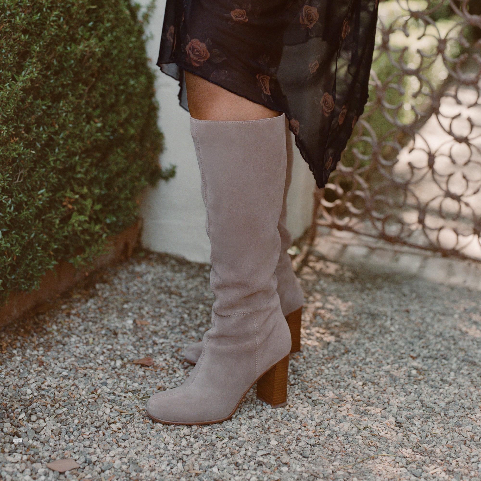 Hudsin Wide Calf Barley Suede Boots / Dolce Vita