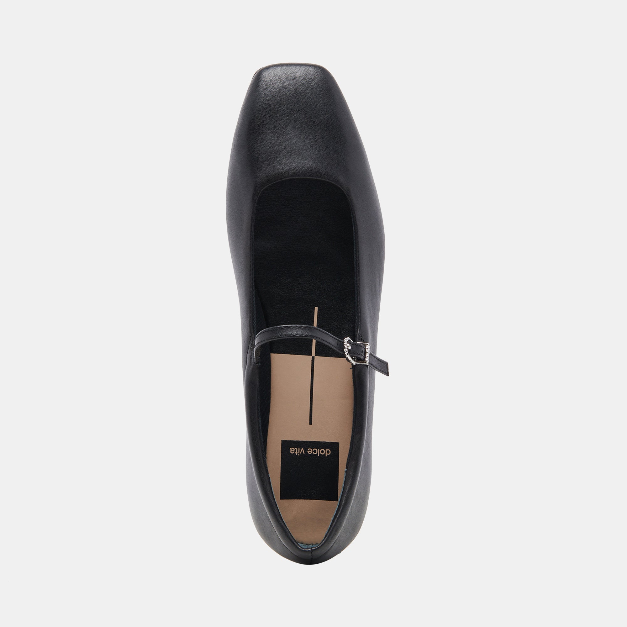 Reyes Black Leather Ballet Flats / Dolce Vita
