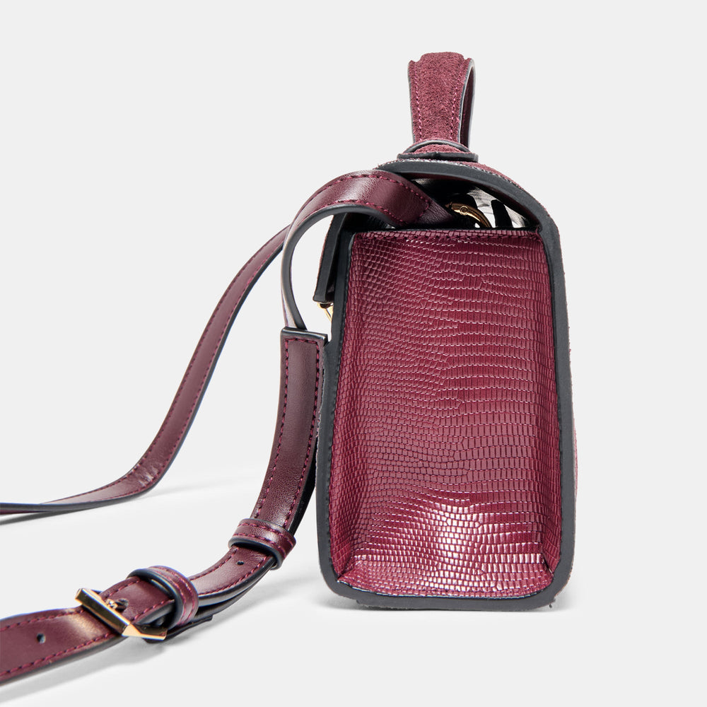 Zannone Burgundy Suede Crossbody / Dolce Vita